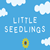 50x50 Little Seedlings